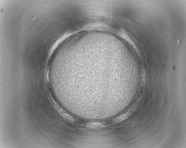 X0000087681462200705251632