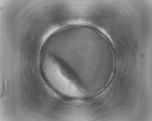 X0000087681463200705251632