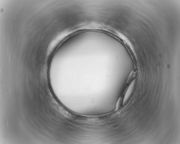 X0000087681464200705251632