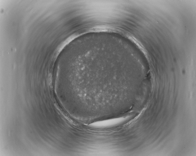 X0000087681465200705251632