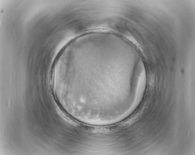 X0000087681466200705251631