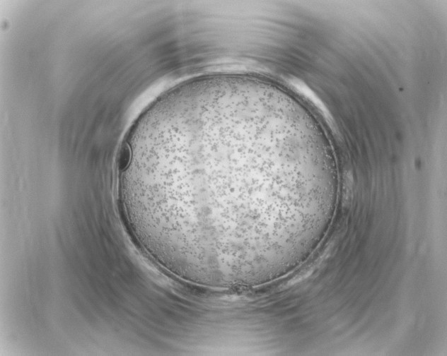 X0000087681467200705251631