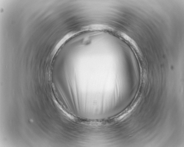 X0000087681473200705251631