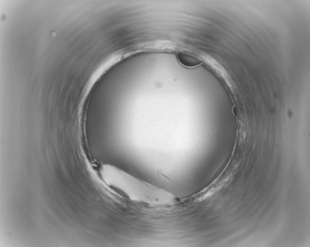 X0000087681475200705251631