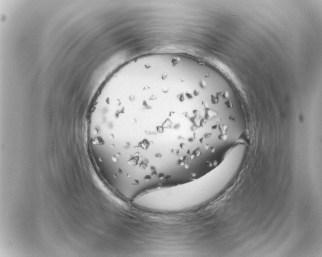 X0000087681476200705251631