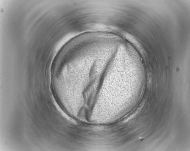 X0000087681479200705251631