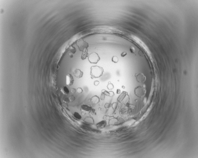 X0000087681481200705251631