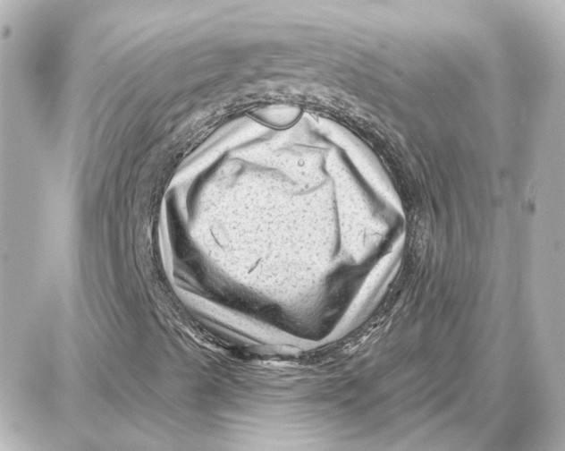 X0000087681489200705251630