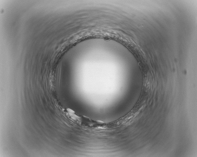 X0000087681490200705251630