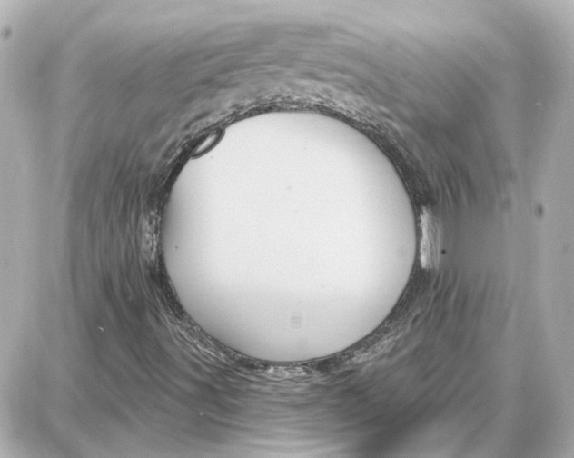 X0000087681491200705251630