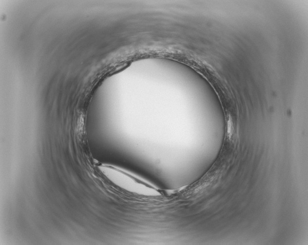 X0000087681492200705251630