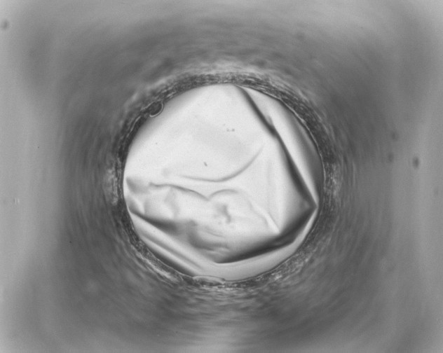 X0000087681493200705251630