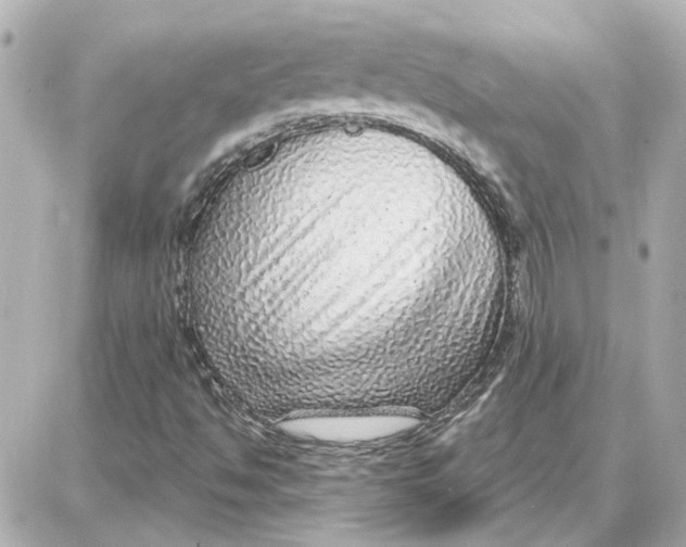 X0000087681494200705251630