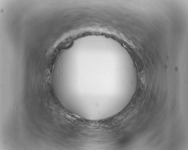 X0000087681495200705251630