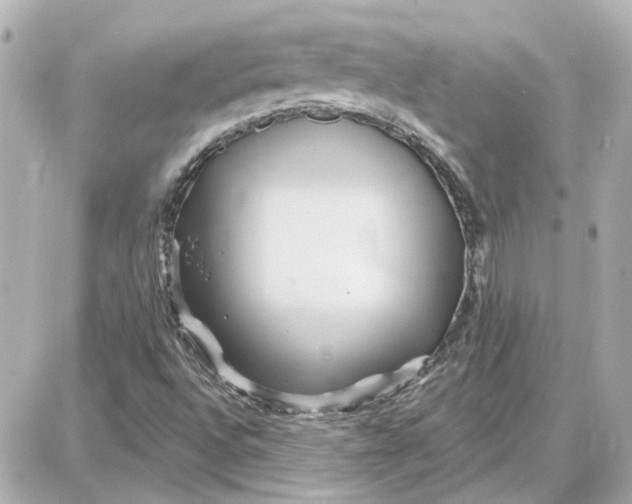 X0000087681496200705251630