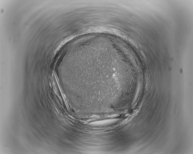 X0000087681497200705251630