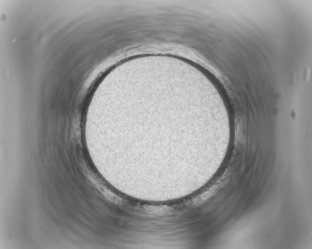 X0000087681498200705251631