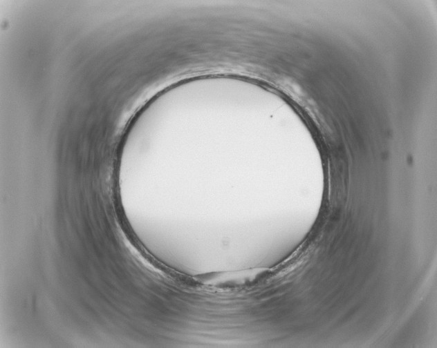 X0000087681500200705251631