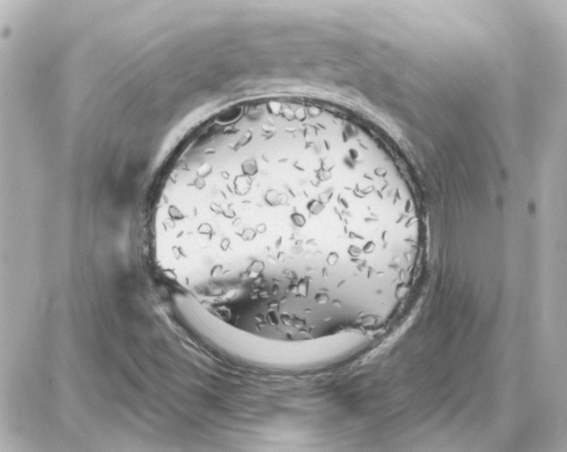 X0000087681501200705251631