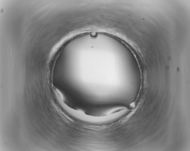 X0000087681502200705251631