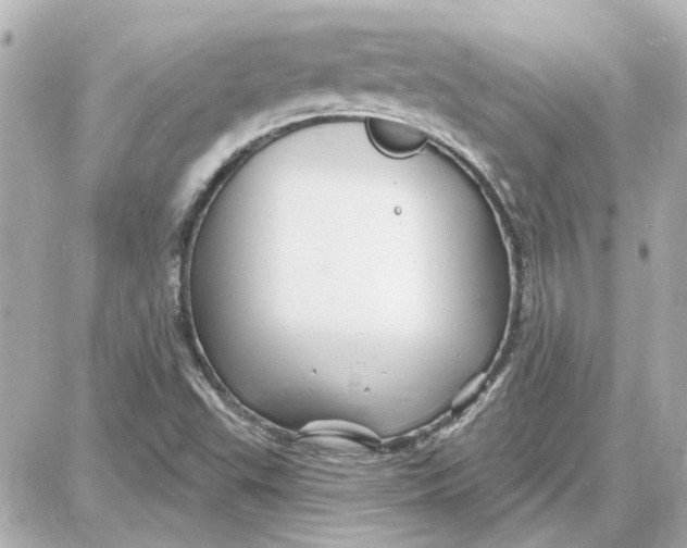 X0000087681503200705251631