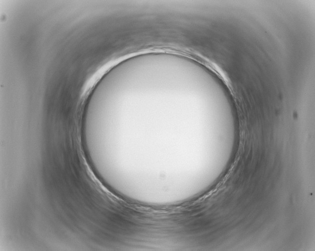 X0000087681504200705251631