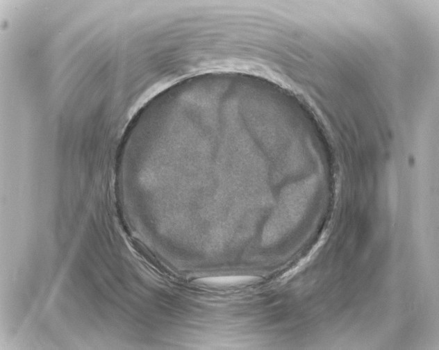 X0000087681505200705251631