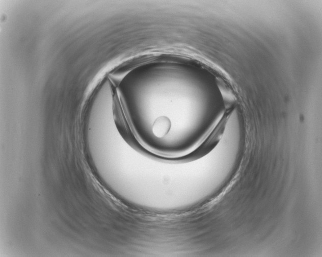 X0000087681506200705251631