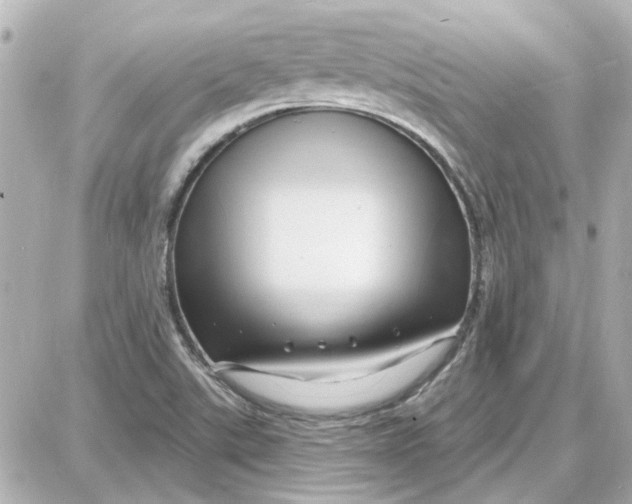 X0000087681507200705251631