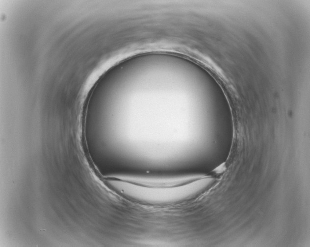 X0000087681512200705251631