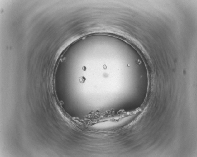 X0000087681513200705251631