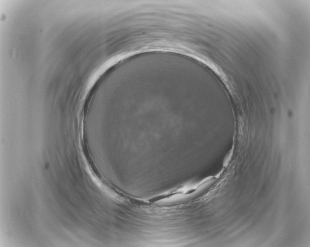 X0000087681515200705251631