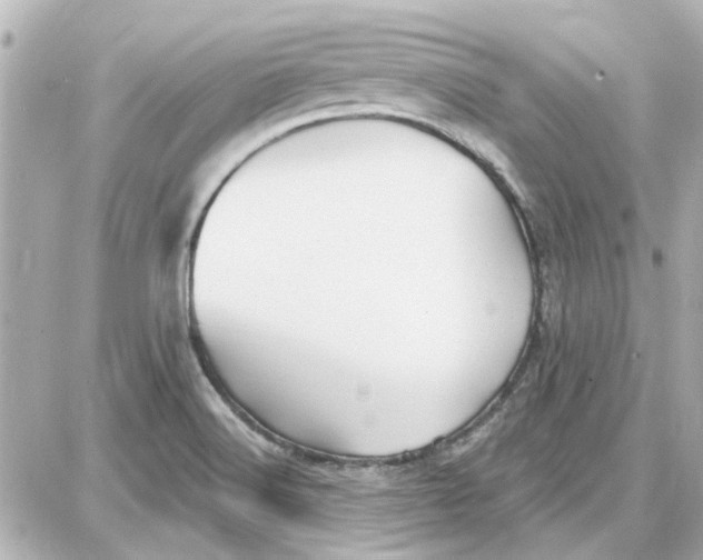 X0000087681516200705251631