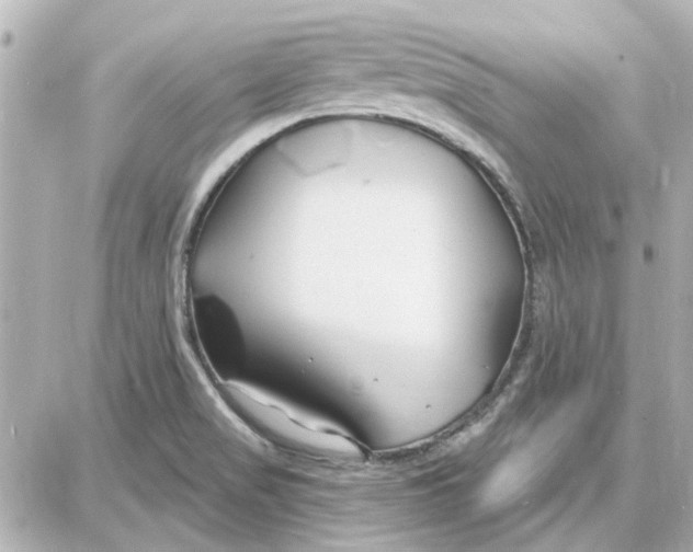 X0000087681517200705251631