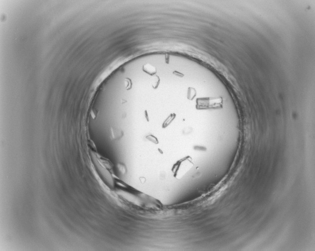 X0000087681521200705251631