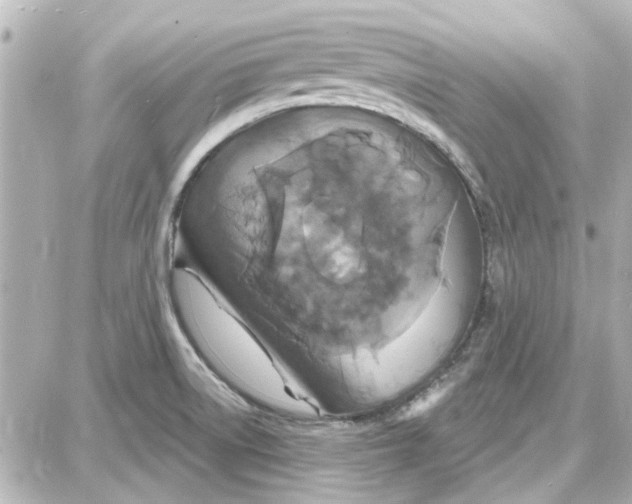 X0000087681522200705251631