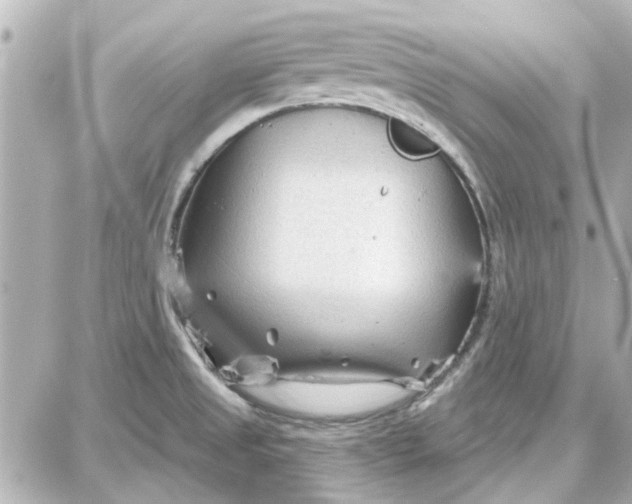 X0000087681525200705251631