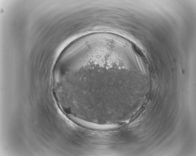 X0000087681527200705251631