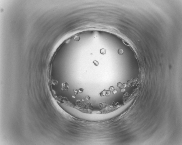 X0000087681531200705251631