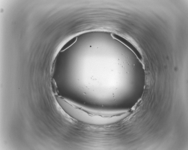 X0000087681532200705251631