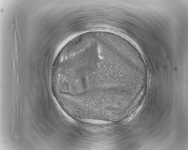 X0000087681533200705251631