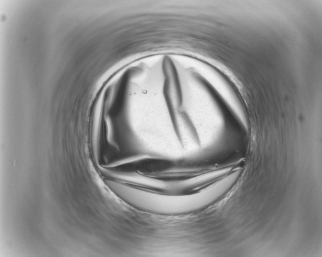 X0000087681534200705251631