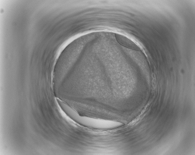 X0000087681535200705251631