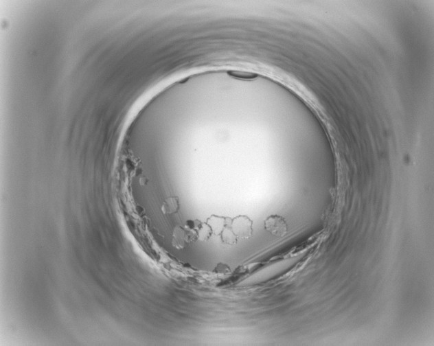 X0000087681536200705251631