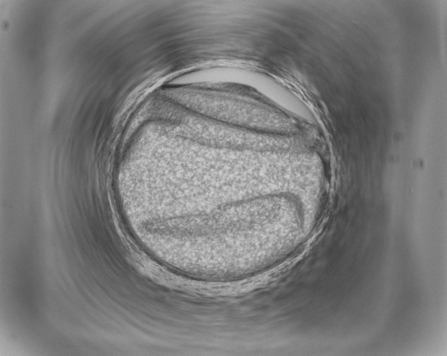 X0000087680001200706011706