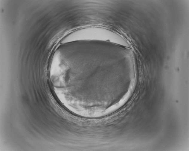 X0000087680002200706011706