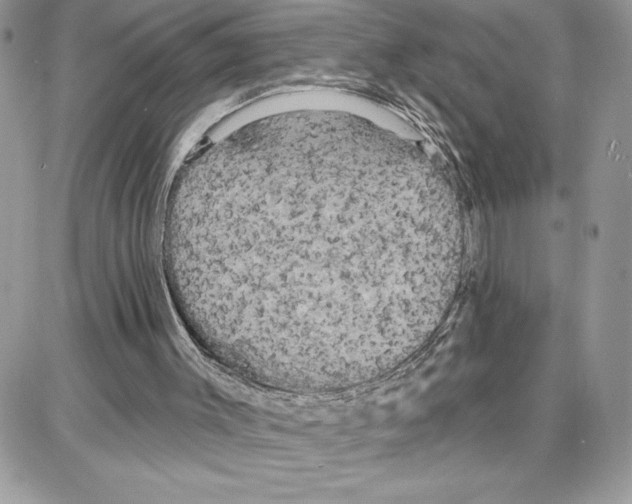 X0000087680003200706011706