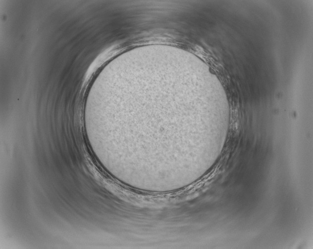 X0000087680004200706011706