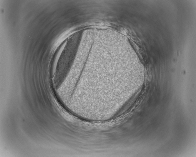 X0000087680005200706011706