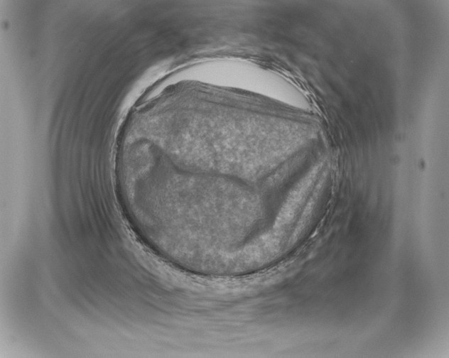 X0000087680006200706011706